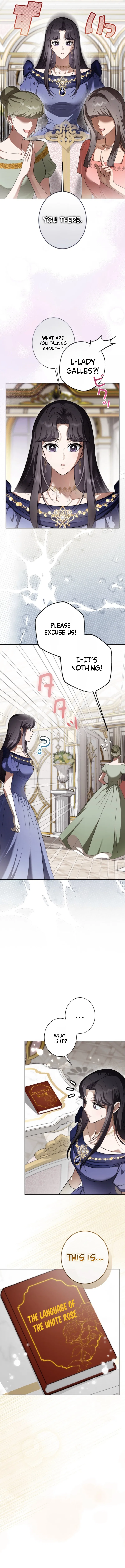 The Timid Frontier Heiress Never Gives Up Her Revenge Chapter 18 – Page 8