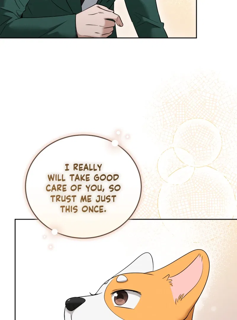 Doggy Romance Chapter 14 – Page 13