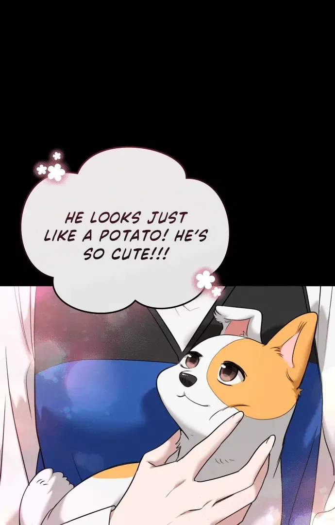 Doggy Romance Chapter 7 – Page 70
