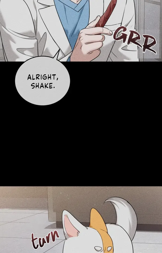 Doggy Romance Chapter 5 – Page 58