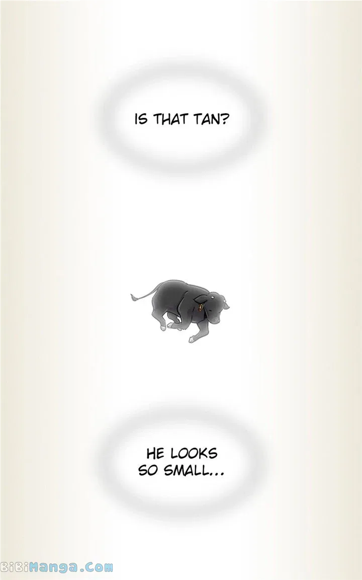 The Witch and The Bull Chapter 128 – Page 6