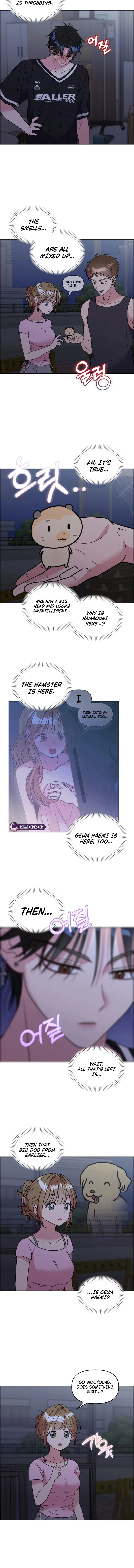 Meow Meow Squeak Squeak! Chapter 77 – Page 4