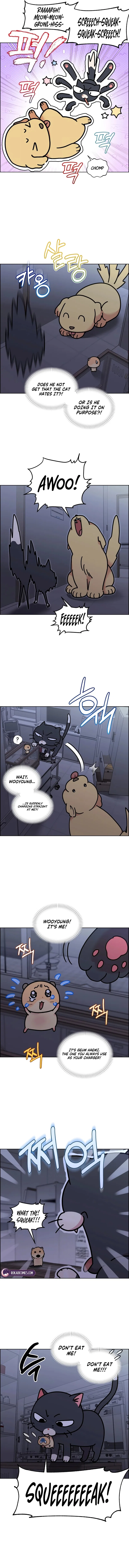 Meow Meow Squeak Squeak! Chapter 75 – Page 3