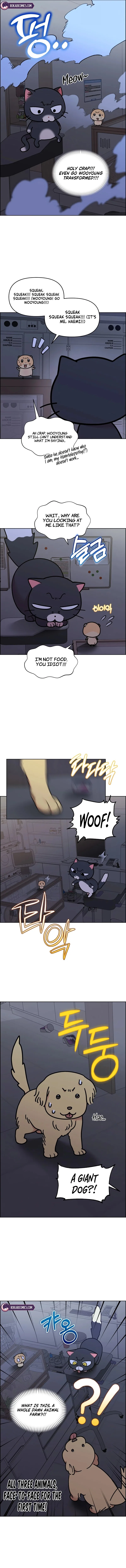 Meow Meow Squeak Squeak! Chapter 74 – Page 7