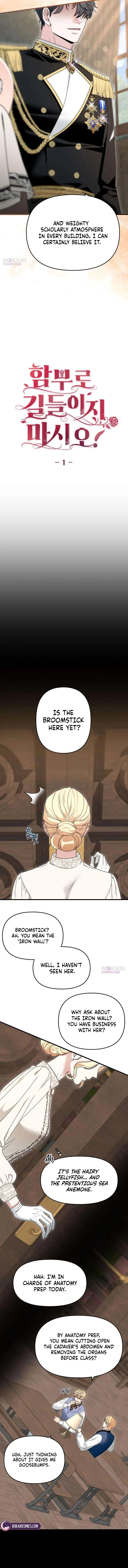 I Refuse to Be Tamed! Chapter 1 – Page 2