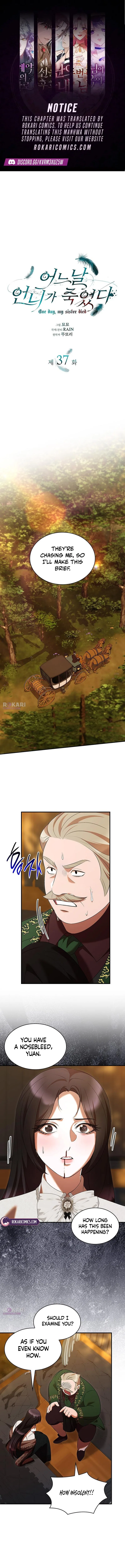 One Day My Sister Died Chapter 37 – Page 1