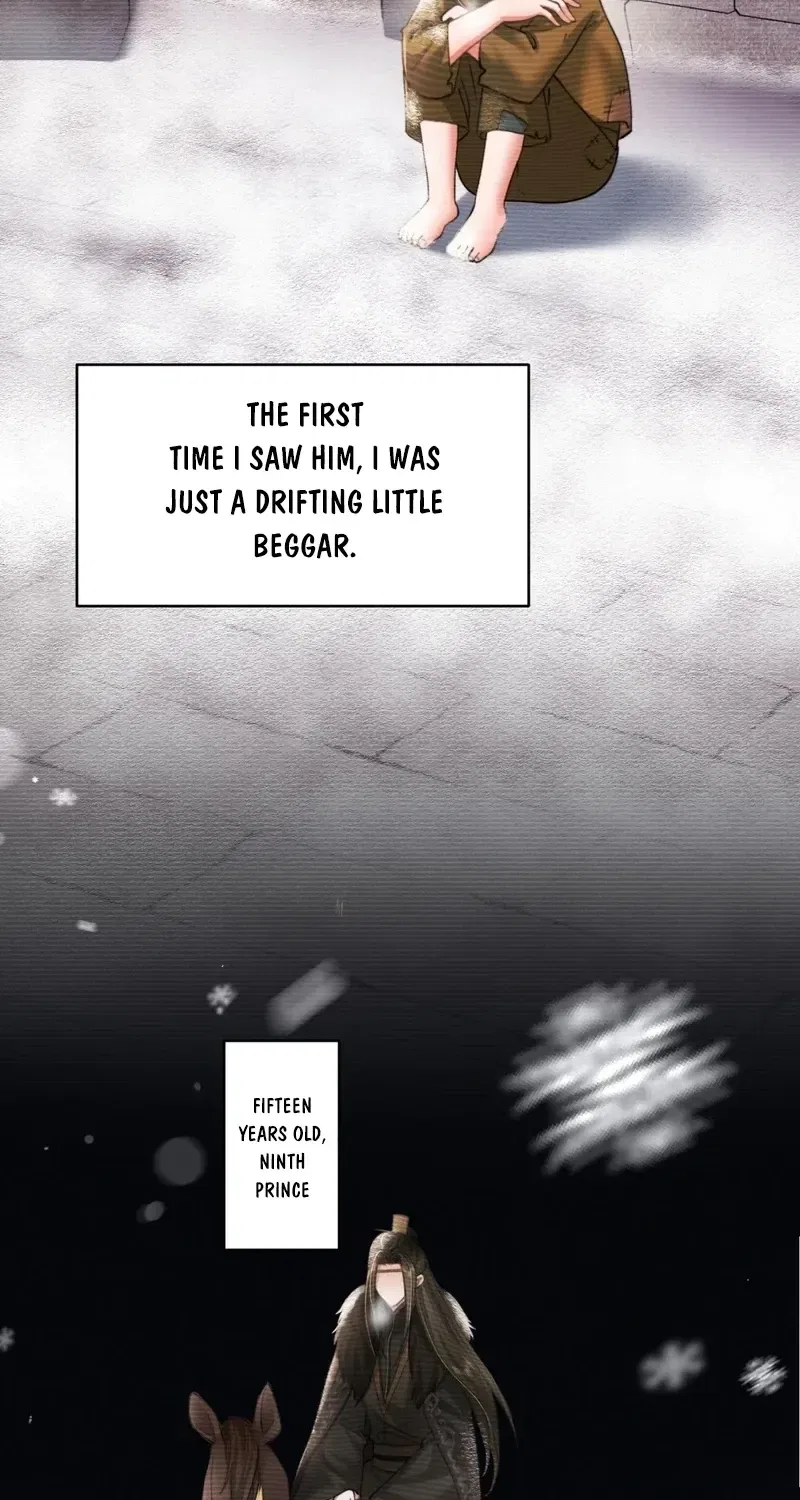 Survival Methods of the Cannon Fodder Daughter Chapter 239 – Page 11
