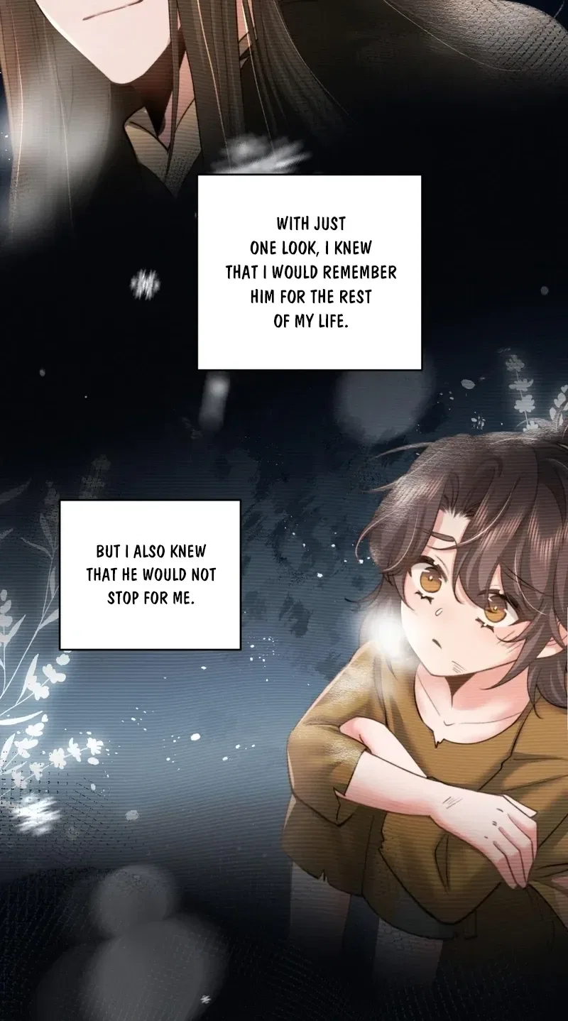 Survival Methods of the Cannon Fodder Daughter Chapter 239 – Page 13