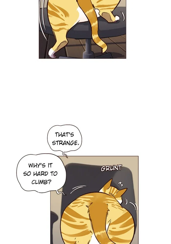 Eleceed Chapter 1 – Page 96