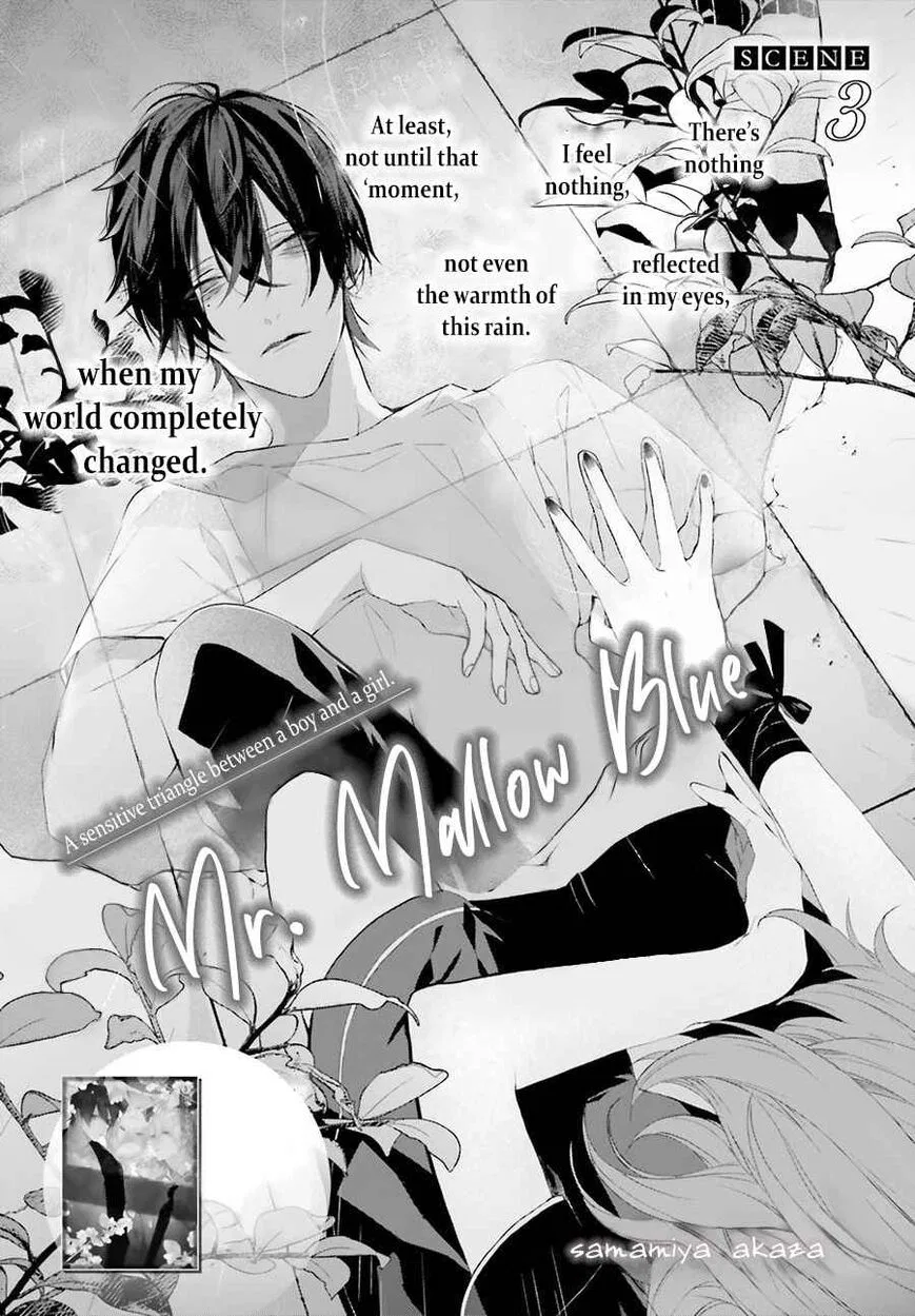 Mr. Mallow Blue manga Chapter 3 – Page 1