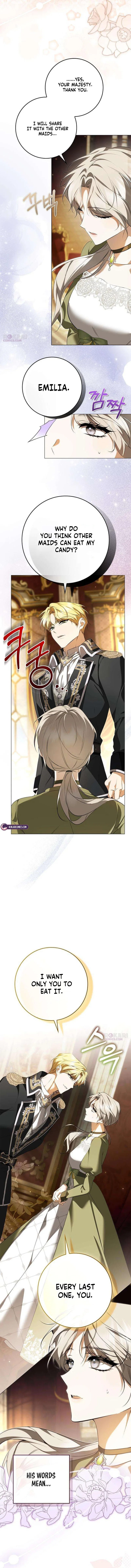 The Emperor Is Annoyed by the Maid Chapter 11 – Page 4