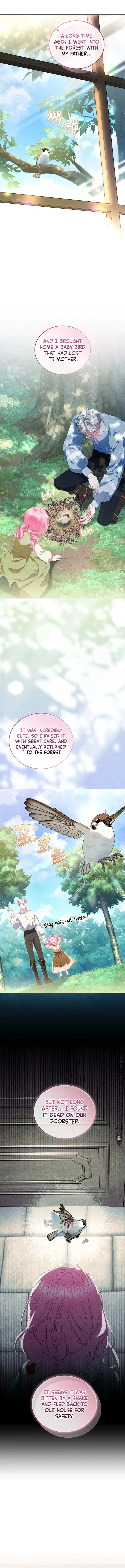 I’m the Only One Who Doesn’t Know the Villainess Is a Man Chapter 14 – Page 5