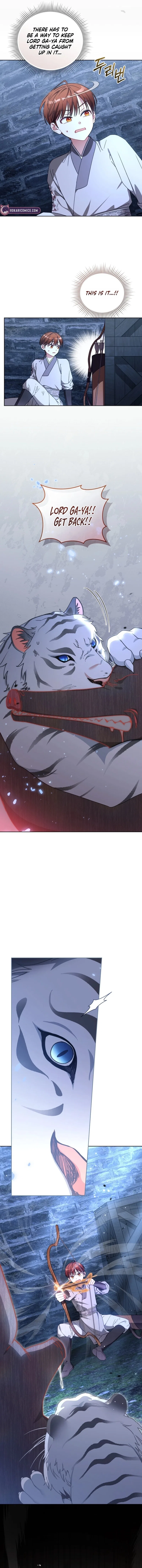 The White Tiger Clan’s Baby Cotton Ball Chapter 35 – Page 2