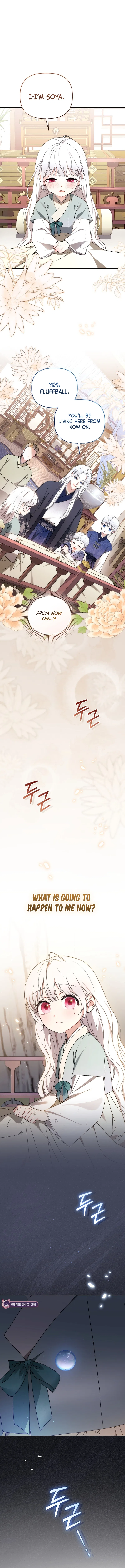 The White Tiger Clan’s Baby Cotton Ball Chapter 5 – Page 16