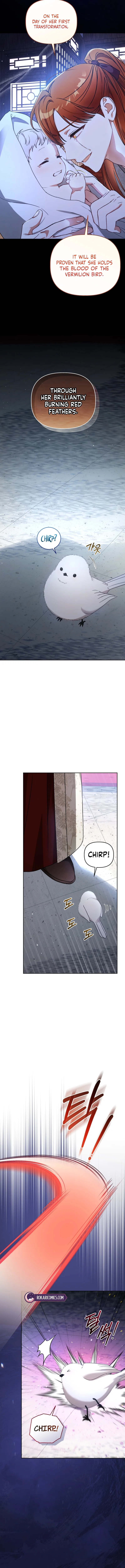 The White Tiger Clan’s Baby Cotton Ball Chapter 1 – Page 12