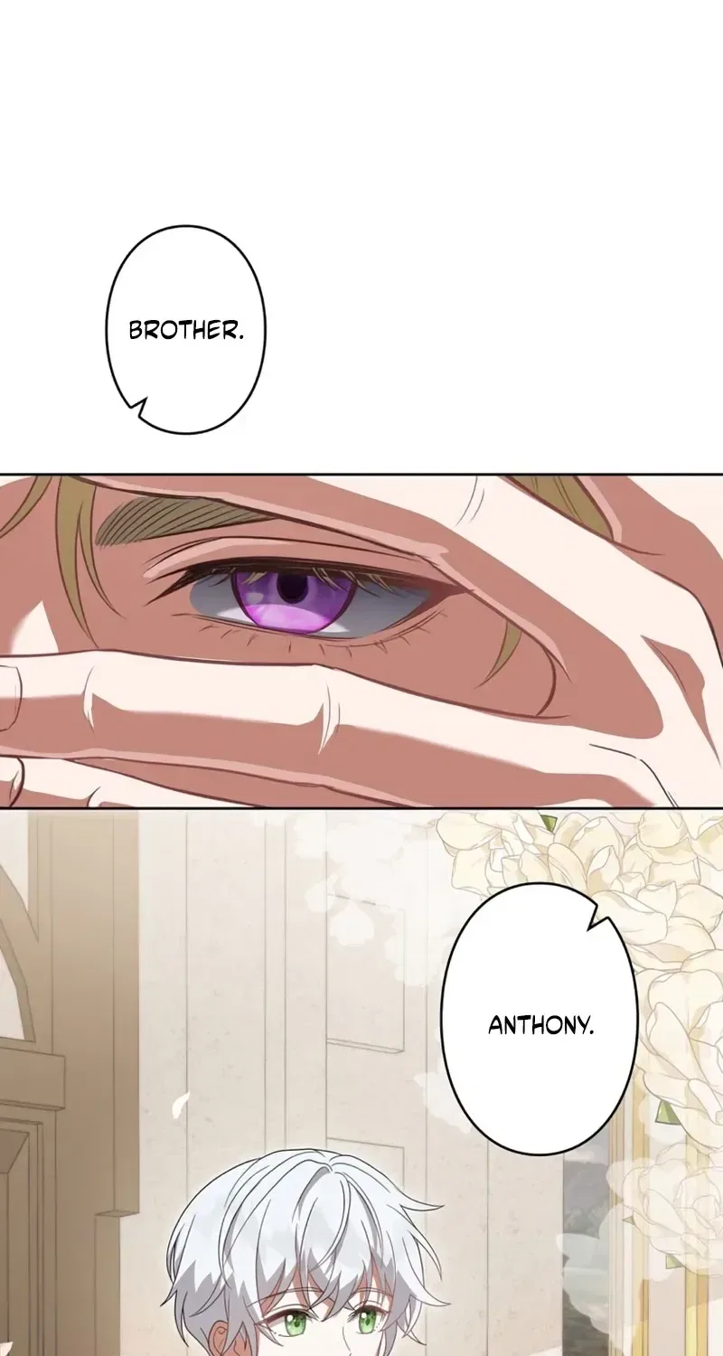 The Corrupted Paladin Is Obsessed With Me Chapter 30 – Page 27