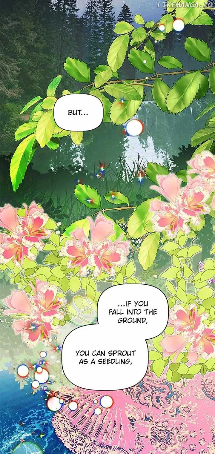Let Me Fall Be Brilliant Chapter 110 – Page 61