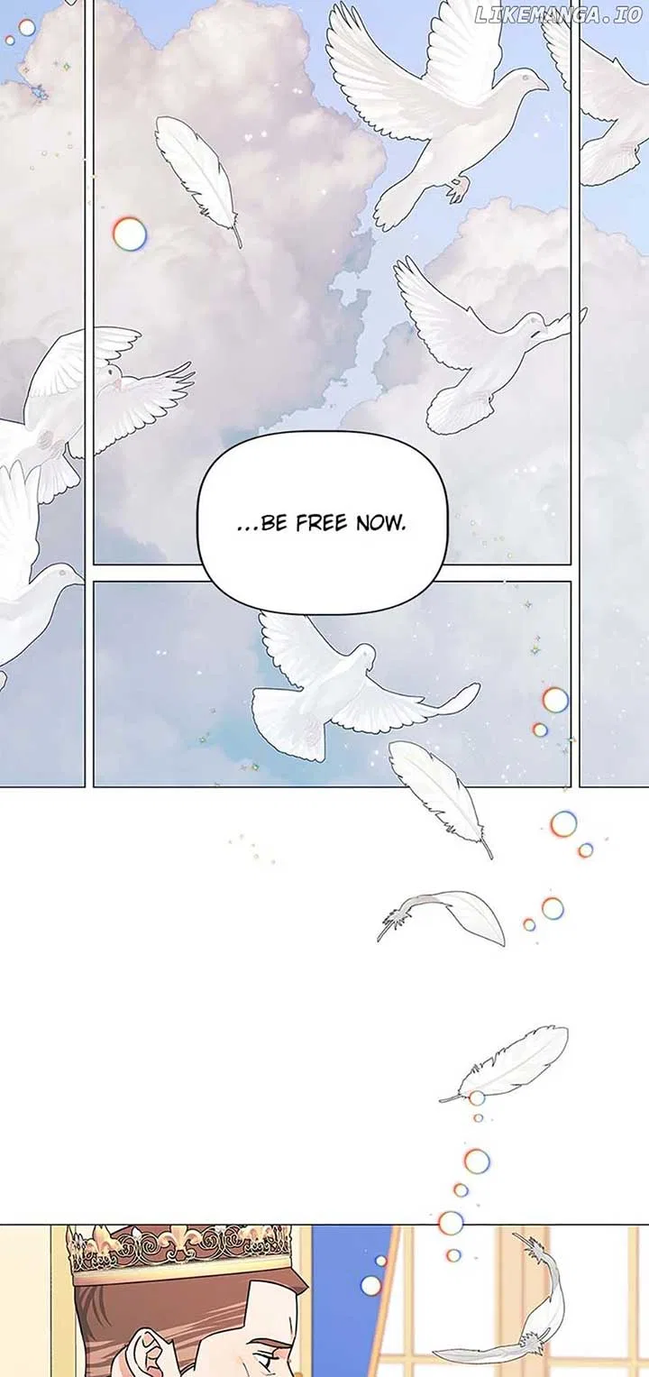 Let Me Fall Be Brilliant Chapter 109 – Page 42