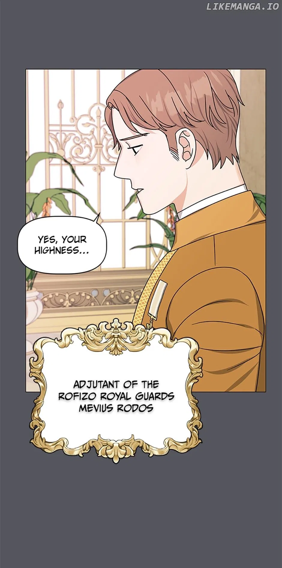 Let Me Fall Be Brilliant Chapter 70 – Page 17