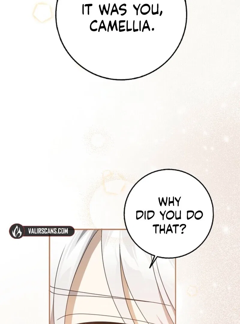 The Lost Cinderella Chapter 83 – Page 71