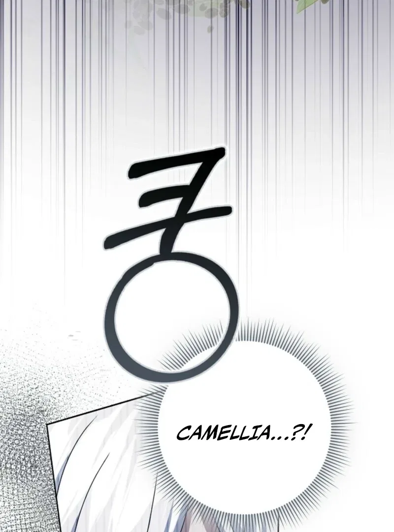 The Lost Cinderella Chapter 80 – Page 43
