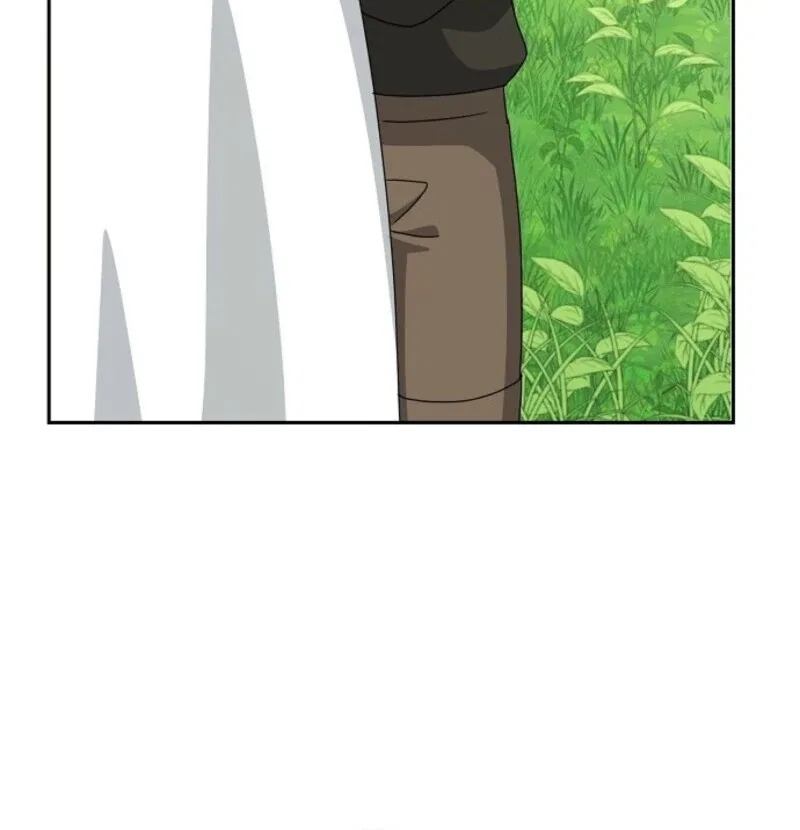 The Lost Cinderella Chapter 78 – Page 31