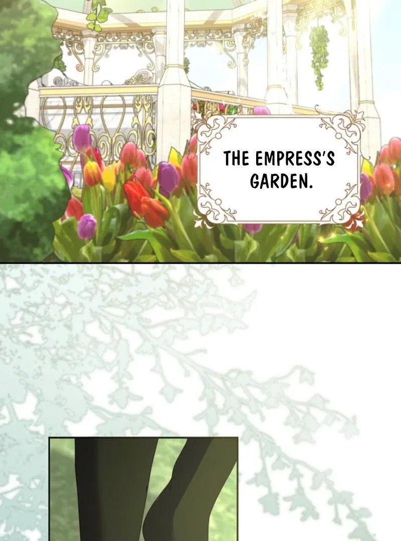 The Lost Cinderella Chapter 73 – Page 3