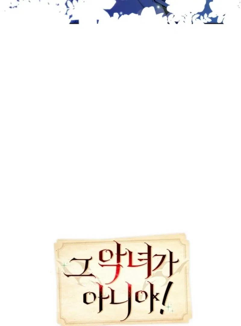Mistaken for a Wicked Woman! Chapter 61 – Page 12