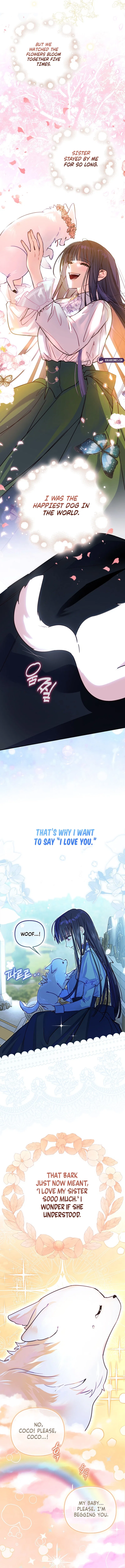 Pawprints on Her Heart Chapter 1 – Page 6