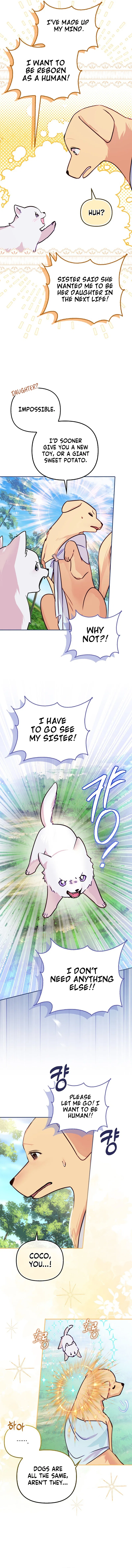 Pawprints on Her Heart Chapter 1 – Page 10
