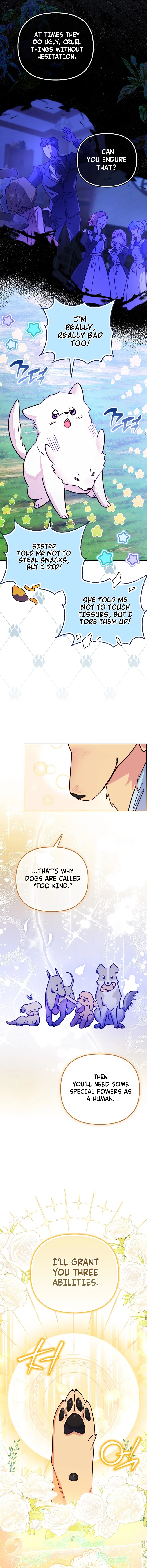 Pawprints on Her Heart Chapter 1 – Page 12