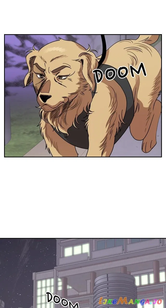 A Whirlwind Campus Affair Chapter 66 – Page 23