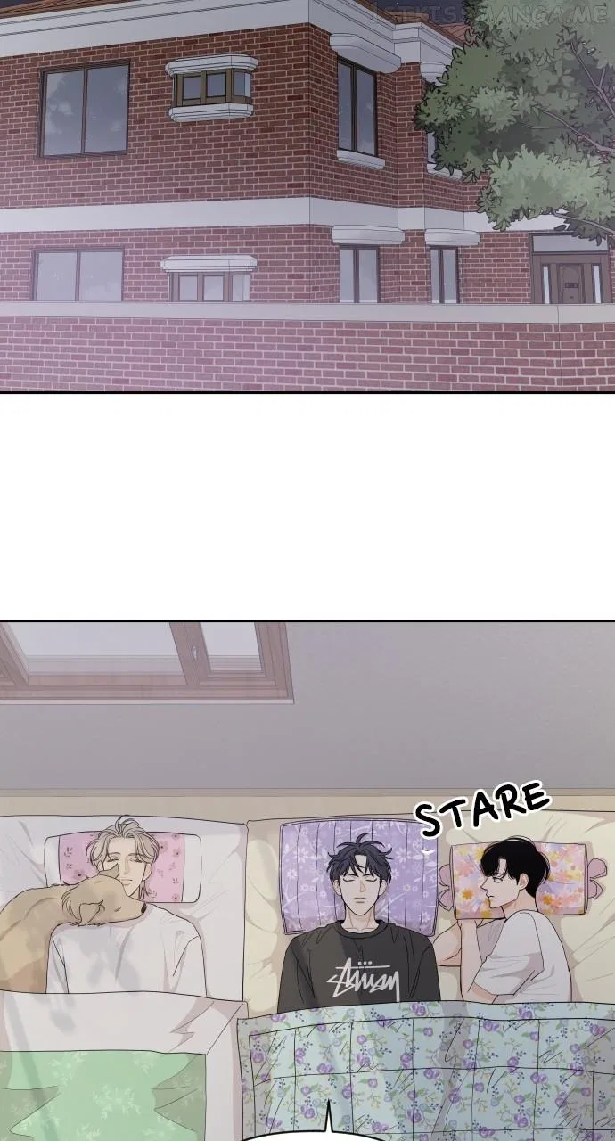 A Whirlwind Campus Affair Chapter 51 – Page 45