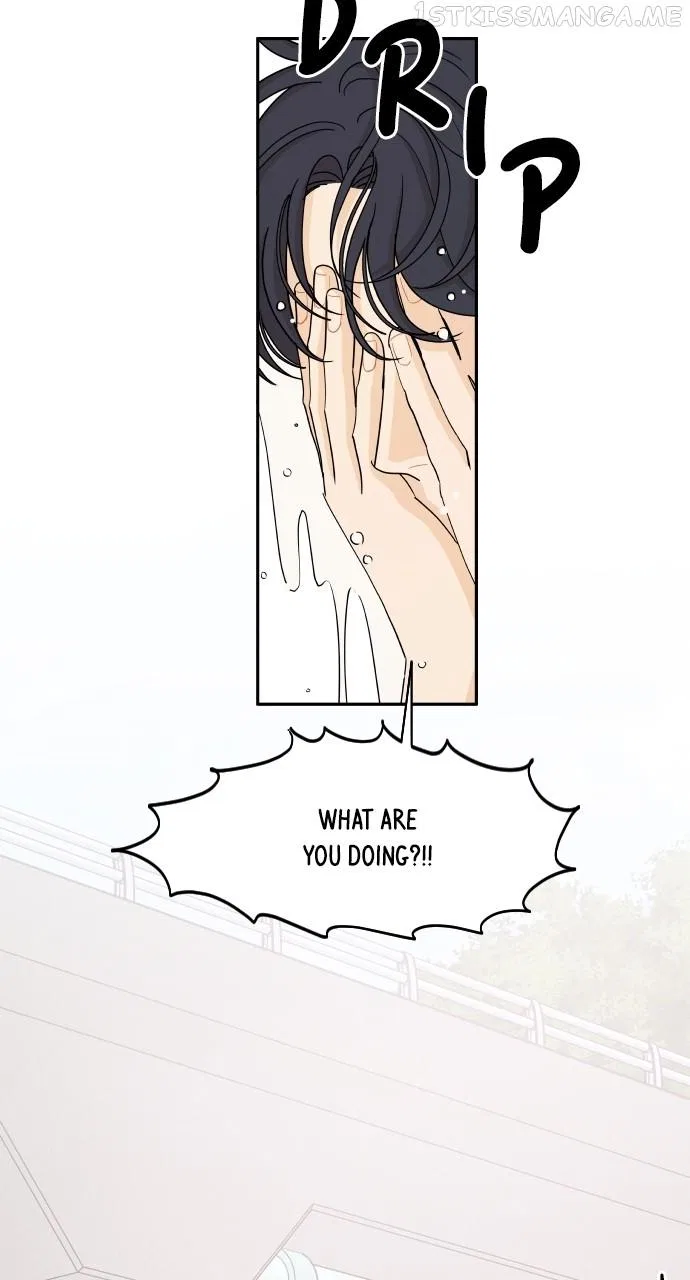 A Whirlwind Campus Affair Chapter 50 – Page 45