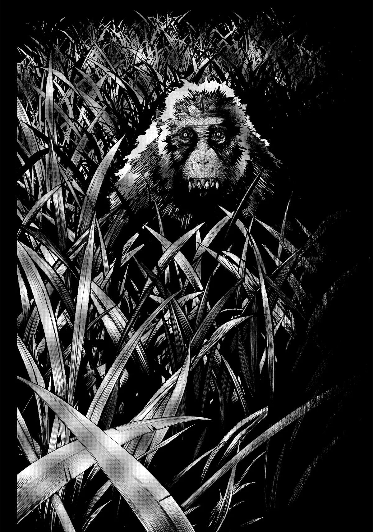 Monkey Hunting Chapter 1 – Page 56