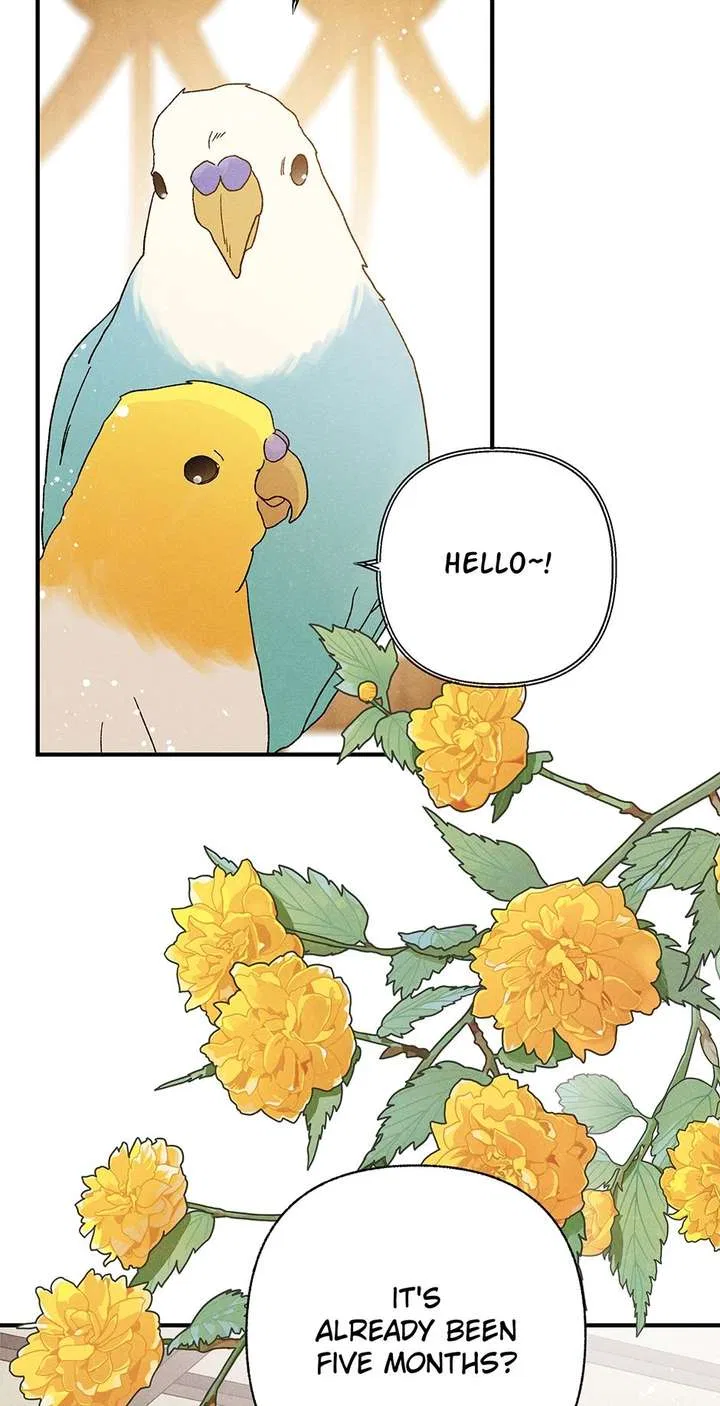 Royal Marriage (2024) Chapter 57 – Page 45