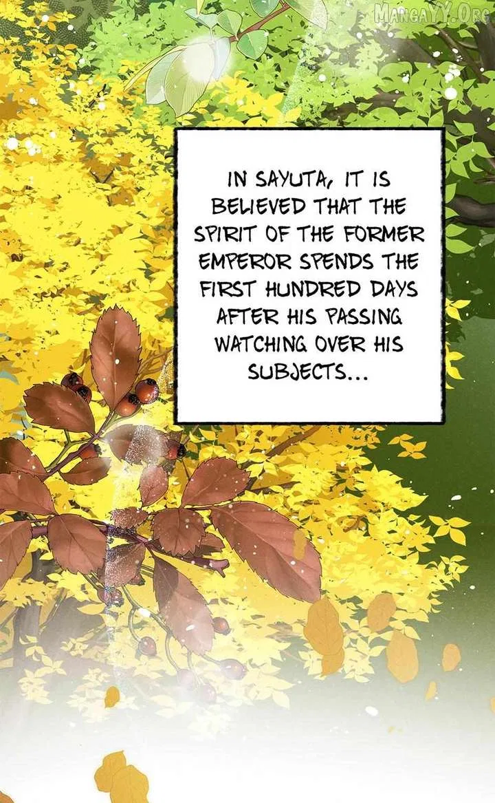 Royal Marriage (2024) Chapter 52 – Page 5