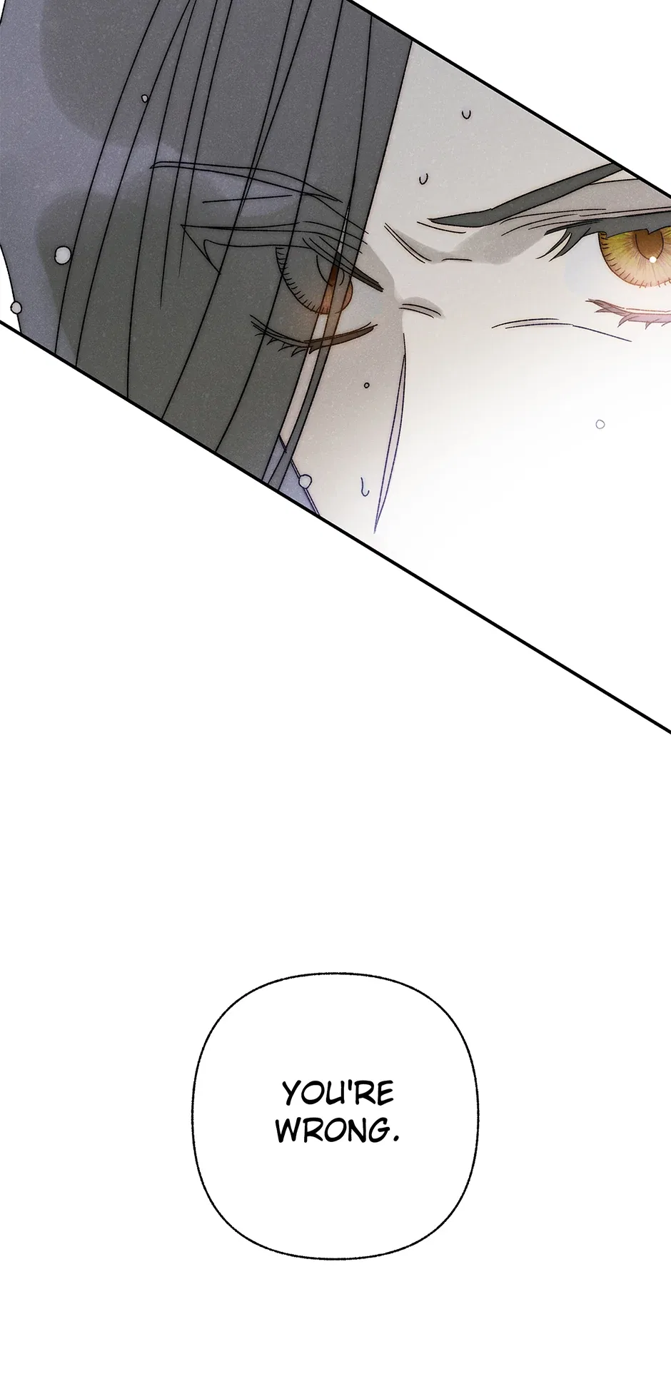 Royal Marriage (2024) Chapter 36 – Page 28