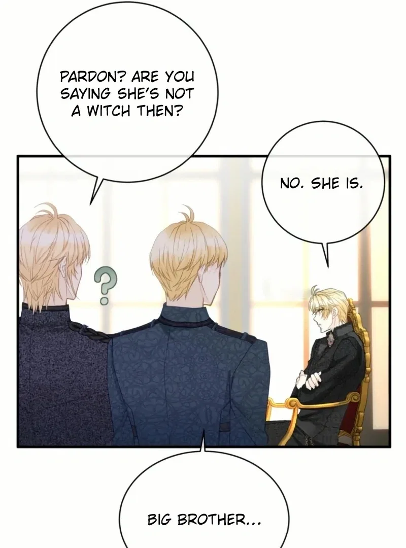 I Became The Black Swan Mother of The White Swan Princess Chapter 24 – Page 13