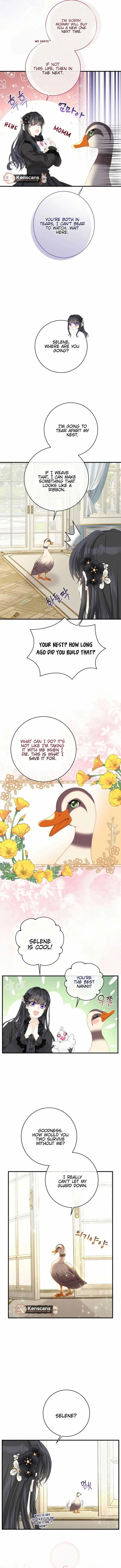 I Became The Black Swan Mother of The White Swan Princess Chapter 23 – Page 10