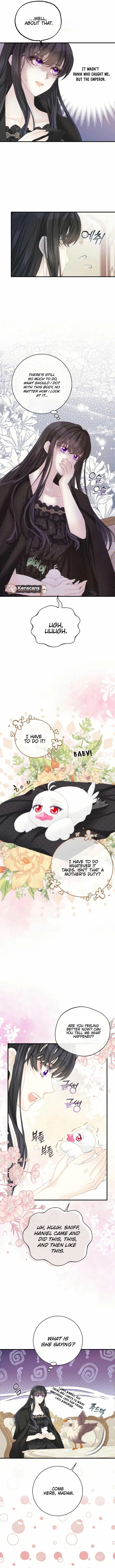 I Became The Black Swan Mother of The White Swan Princess Chapter 22 – Page 6