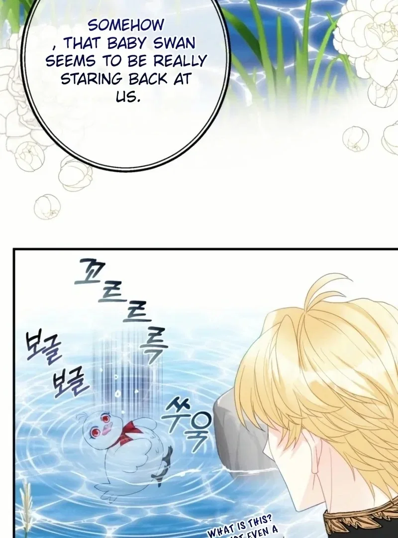 I Became The Black Swan Mother of The White Swan Princess Chapter 21 – Page 50