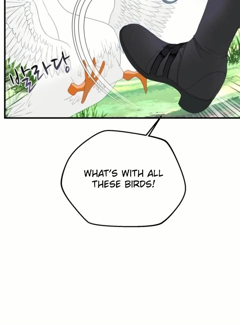 I Became The Black Swan Mother of The White Swan Princess Chapter 21 – Page 90