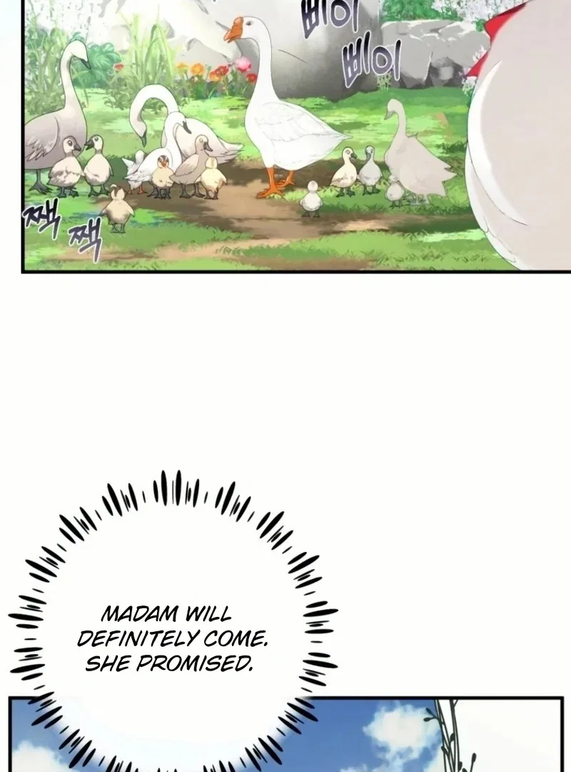 I Became The Black Swan Mother of The White Swan Princess Chapter 20 – Page 48