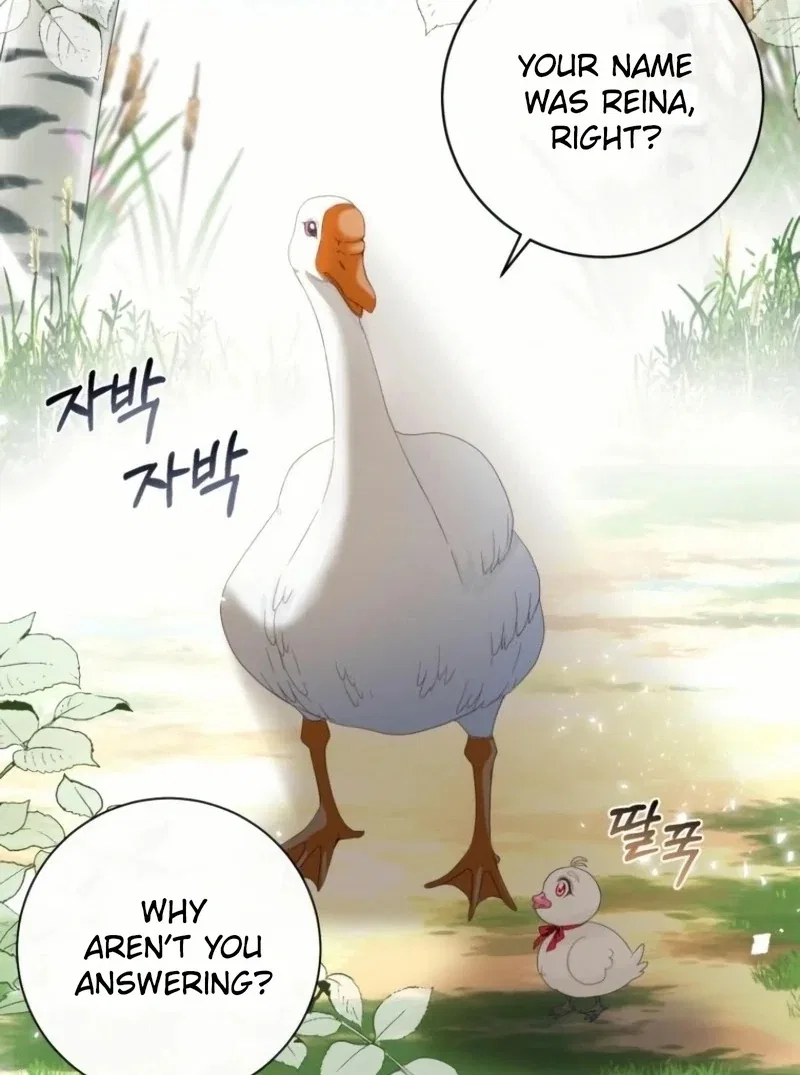 I Became The Black Swan Mother of The White Swan Princess Chapter 20 – Page 50