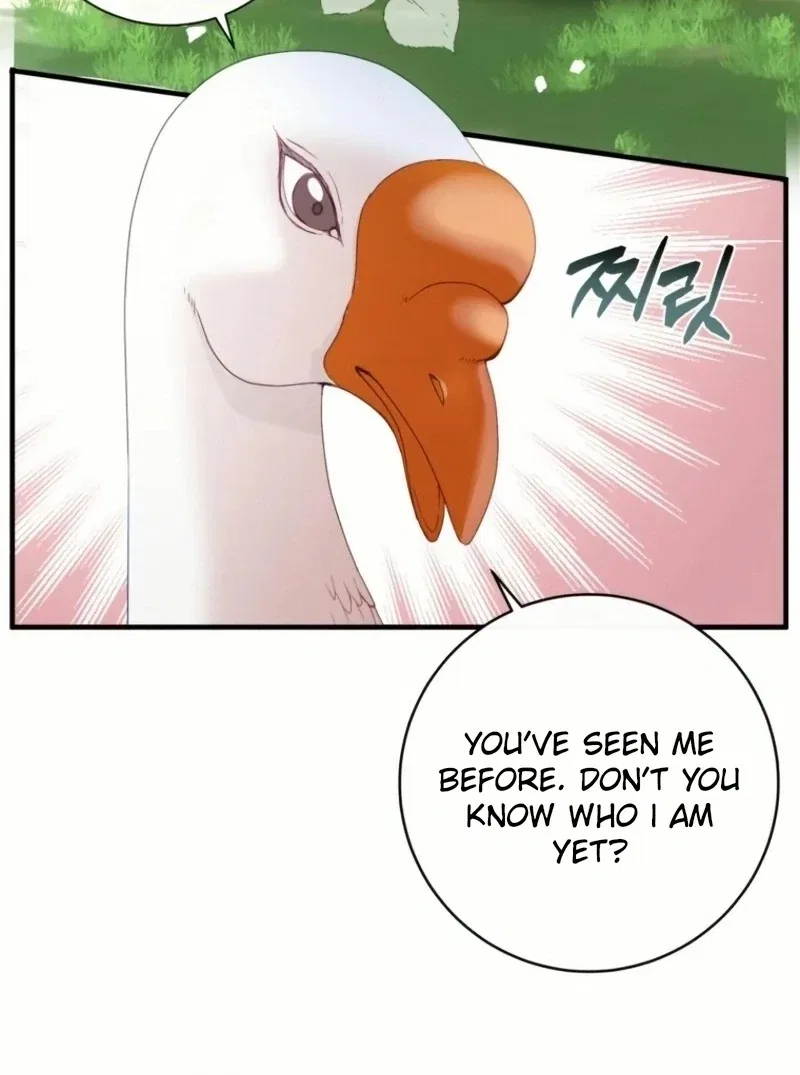 I Became The Black Swan Mother of The White Swan Princess Chapter 20 – Page 51