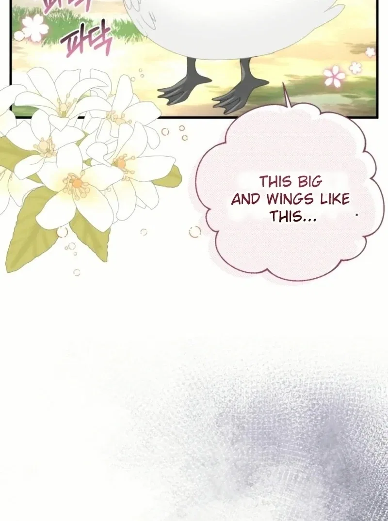 I Became The Black Swan Mother of The White Swan Princess Chapter 20 – Page 73