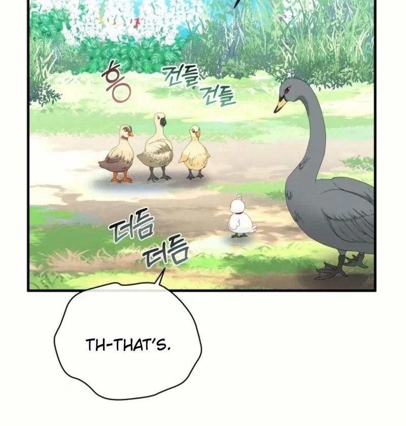 I Became The Black Swan Mother of The White Swan Princess Chapter 20 – Page 79