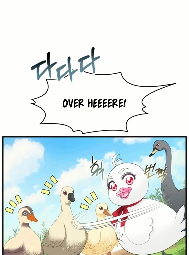 I Became The Black Swan Mother of The White Swan Princess Chapter 20 – Page 80