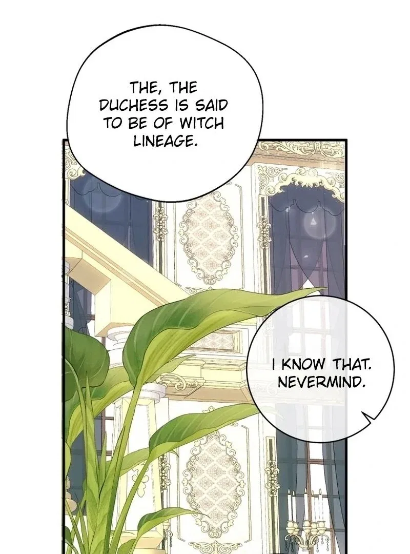 I Became The Black Swan Mother of The White Swan Princess Chapter 15 – Page 14